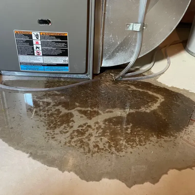 Appliance Leak Cleanup in Saint Matthews, SC